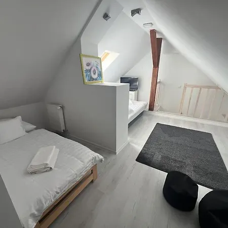 Apartment Attic Close To The And Center *